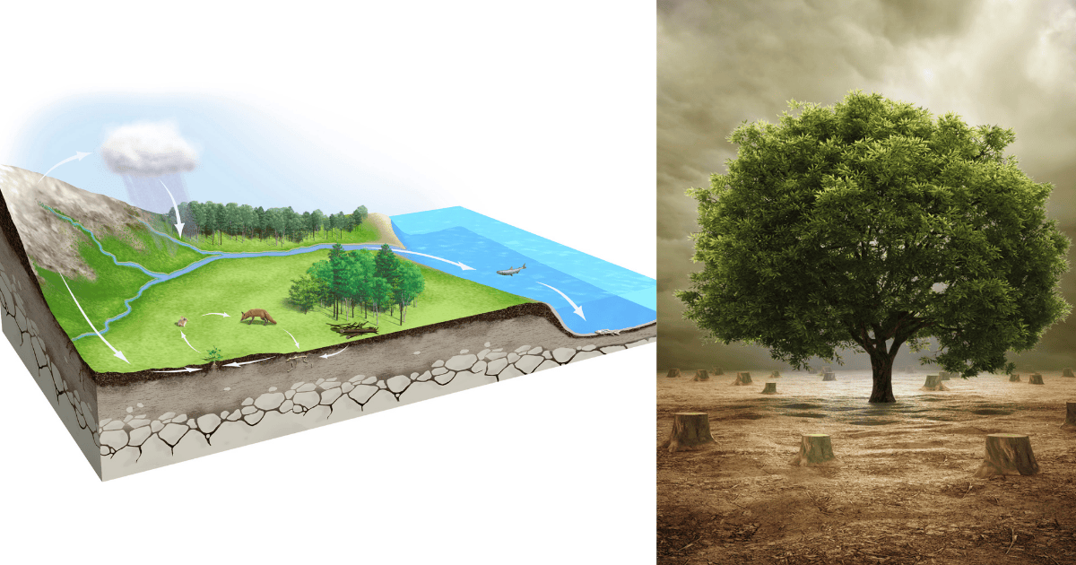 Gases de refrigeración ecológicos: eficiencia, seguridad y compromiso ambiental